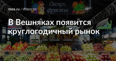 В Вешняках появится круглогодичный рынок - mos.ru - Торговля