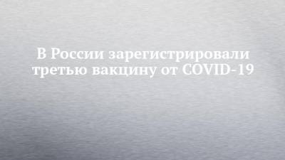 Михаил Мишустин - В России зарегистрировали третью вакцину от COVID-19 - chelny-izvest.ru