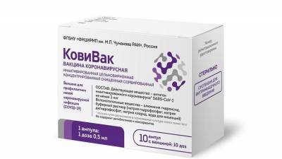 Михаил Мишустин - Айдар Ишмухаметов - Разработчик «КовиВака» назвал срок начала исследований вакцины на детях и пожилых - iz.ru