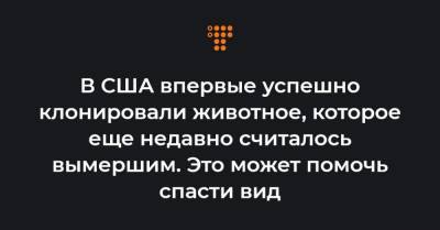 В США впервые успешно клонировали животное, которое еще недавно считалось вымершим. Это может помочь спасти вид - hromadske.ua - США - штат Вайоминг
