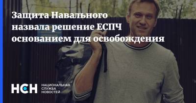Алексей Навальный - Ольга Михайлова - Защита Навального назвала решение ЕСПЧ основанием для освобождения - nsn.fm - Москва