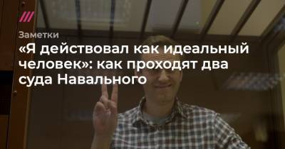 «Я действовал как идеальный человек»: как проходят два суда Навального - tvrain.ru - Берлин