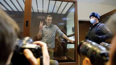 Алексей Навальный - Ольга Михайлова - Защита попросила освободить Навального - vesti.ru - Москва