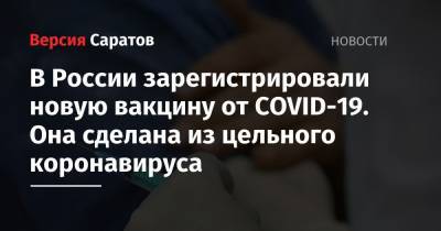 Михаил Мишустин - Айдар Ишмухаметов - В России зарегистрировали новую вакцину от COVID-19. Она сделана из цельного коронавируса - nversia.ru