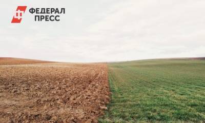 Игорь Кобзев - Многодетные семьи Иркутской области взамен земельного участка смогут получить деньги - fedpress.ru - Иркутская обл. - Иркутск