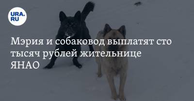 Мэрия и собаковод выплатят сто тысяч рублей жительнице ЯНАО - ura.news - окр. Янао