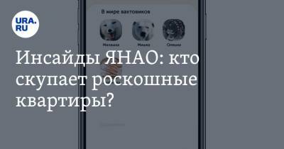 Инсайды ЯНАО: кто скупает роскошные квартиры? - ura.news - Ноябрьск - Салехард - окр. Янао