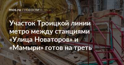 Андрей Бочкарев - Участок Троицкой линии метро между станциями «Улица Новаторов» и «Мамыри» готов на треть - mos.ru - Москва