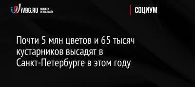 Почти 5 млн цветов и 65 тысяч кустарников высадят в Санкт-Петербурге в этом году - ivbg.ru - Россия - Санкт-Петербург