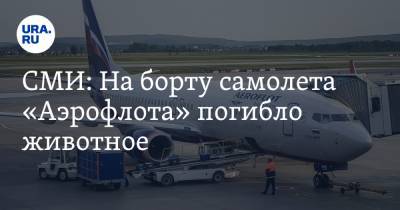 СМИ: На борту самолета «Аэрофлота» погибло животное - ura.news - Москва