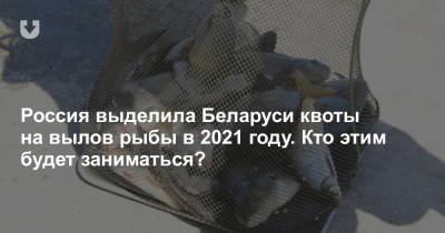 Россия выделила Беларуси квоты на вылов рыбы в 2021 году. Кто этим будет заниматься? - news.tut.by - Белоруссия - Балтийск