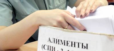 Должник в Карелии получил штраф за вранье и обязательные работы за неуплату алиментов - stolicaonego.ru - республика Карелия
