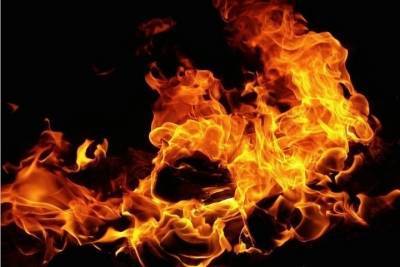 В Ленобласти мужчина облил сожительницу соляркой и поджог - spb.mk.ru - Ленинградская обл. - район Волховский