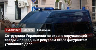 Сотрудница Управления по охране окружающей среды и природным ресурсам стала фигурантом уголовного дела - kubnews.ru - респ. Адыгея - Майкоп - Следственный Комитет