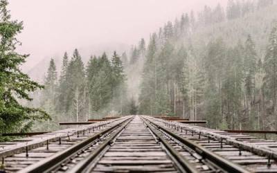 Поезда из Белоруссии в Россию восстановят остановки в городах Витебск и Орша - argumenti.ru - Москва - Россия - Белоруссия - Калининград - Минск - Витебск - Орша