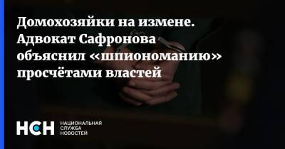 Иван Павлов - Иван Сафронов - Домохозяйки на измене. Адвокат Сафронова объяснил «шпиономанию» просчётами властей - nsn.fm