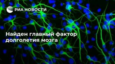 Найден главный фактор долголетия мозга - ria.ru - Москва - США