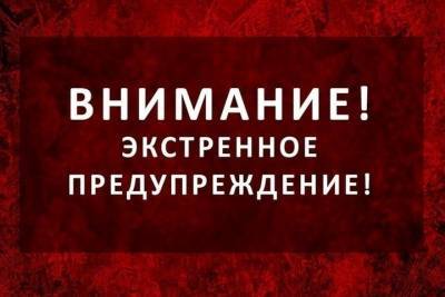 Ледяной дождь пройдет вечером и ночью по Псковской области - mk-pskov.ru - Псковская обл.
