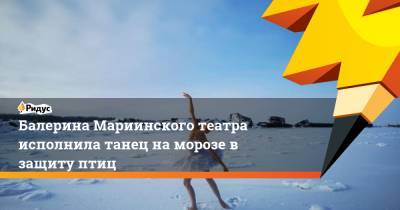 Владимир Путин - Балерина Мариинского театра исполнила танец на морозе в защиту птиц - ridus.ru - Санкт-Петербург