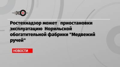 Владимир Потанин - Ростехнадзор может приостановки эксплуатацию Норильской обогатительной фабрики «Медвежий ручей» - echo.msk.ru