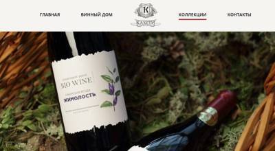 Губернатор открыл в Томске линию крафтовых вин из сибирских ягод, купленную в 2019 году - tv2.today - Томск