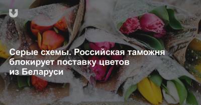 Серые схемы. Российская таможня блокирует поставку цветов из Беларуси - news.tut.by - Московская обл. - Белоруссия - Смоленская обл.