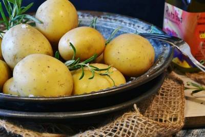 Удобрения, картофель и морковь подорожали. Числа недели - tayga.info - Новосибирск - Омск