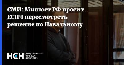 Алексей Навальный - СМИ: Минюст РФ просит ЕСПЧ пересмотреть решение по Навальному - nsn.fm - Москва
