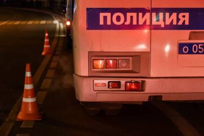 Ирина Волк - В Подмосковье задержаны подозреваемые в причастности к серии убийств с 2000 года - m24.ru - Москва - Московская обл.