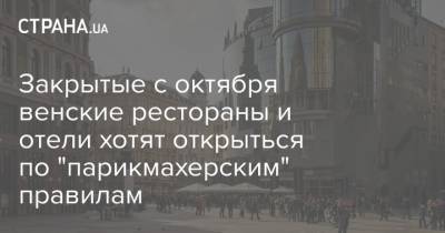 Закрытые с октября венские рестораны и отели хотят открыться по "парикмахерским" правилам - strana.ua - Австрия - Отели