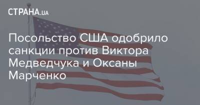 Виктор Медведчук - Оксана Марченко - Посольство США одобрило санкции против Виктора Медведчука и Оксаны Марченко - strana.ua - США - Украина