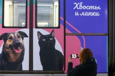 Дептранс запустил конкурс фотографий поезда метро "Хвосты и лапки" - m24.ru - Москва