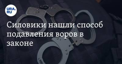 Силовики нашли способ подавления воров в законе - ura.news - Москва