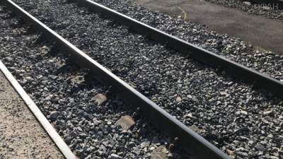 Камерун разрабатывает проект железной дороги в Чад - riafan.ru - Камерун - Чад - Яунде - Нджамена