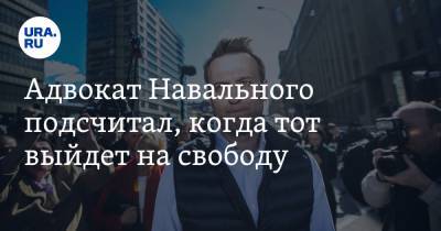 Алексей Навальный - Вадим Кобзев - Адвокат Навального подсчитал, когда тот выйдет на свободу - ura.news - Москва