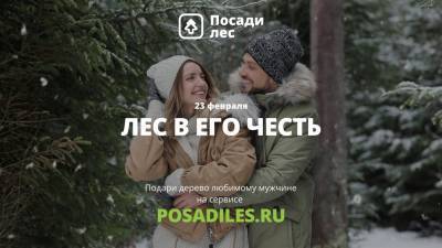 Дерево лучше носков. Экологи призывают ульяновцев дарить защитникам саженцы - ulpravda.ru