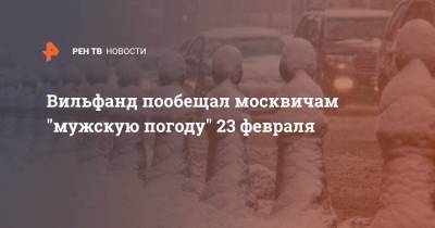 Роман Вильфанд - Вильфанд пообещал москвичам "мужскую погоду" 23 февраля - ren.tv - Москва