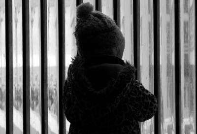 Подросток из Тосненского района подозревается в надругательстве над 4-летним - online47.ru - Ленинградская обл. - район Тосненский - район Лужский