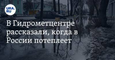 Роман Вильфанд - В Гидрометцентре рассказали, когда в России потеплеет - ura.news