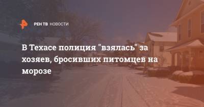 В Техасе полиция "взялась" за хозяев, бросивших питомцев на морозе - ren.tv - США - Техас