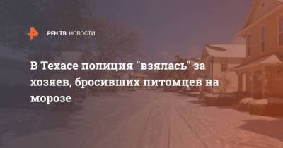 В Техасе полиция “взялась” за хозяев, бросивших питомцев на морозе - skuke.net - США - Техас