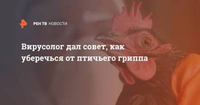 Георгий Викулов - Анна Попова - Вирусолог дал совет, как уберечься от птичьего гриппа - ren.tv