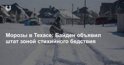 Джо Байден - Морозы в Техасе: Байден объявил штат зоной стихийного бедствия - news.tut.by - США - New York - Техас