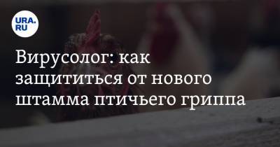 Георгий Викулов - Вирусолог: как защититься от нового штамма птичьего гриппа - ura.news