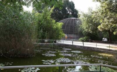 королева Виктория - Жемчужина в самом сердце столицы - vkcyprus.com - Никосия