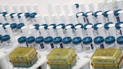 Илон Маск - Илон Маск - Сотрудники компании Илона Маска прошли обследование на наличие антител к COVID-19 - nation-news.ru