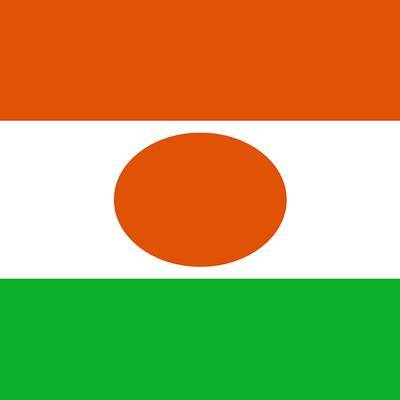 Мохамед Базум - В Нигере стартовал второй тур президентских выборов - radiomayak.ru - Нигер
