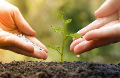 Создан мини-завод, который делает удобрения из солнца и воздуха - agroportal.ua - Уганда