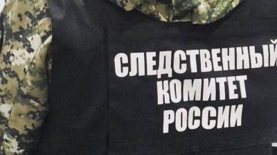 Полиция ищет виновных в избиении девочки в интернате на Сахалине - nation-news.ru