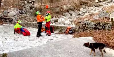 В Альпах пес помог выжить мужчине, который семь дней пролежал в горах с переломом ноги - nv.ua - Италия